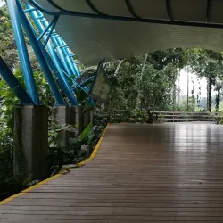 Veragua Rainforest Park - Limon