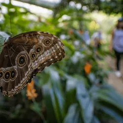 Veragua Rainforest Park - Limon