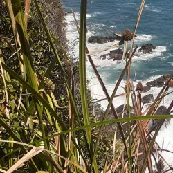 Cathedral Point (Punta Catedral) - Manuel Antonio