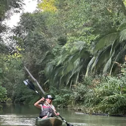 Damas Island Mangrove Tour - Manuel Antonio