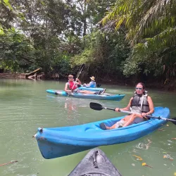 Damas Island Mangrove Tour - Manuel Antonio