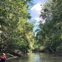Damas Island Mangrove Tour - Manuel Antonio