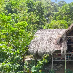 La Selvita - Manuel Antonio