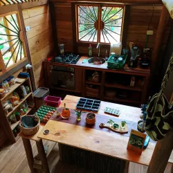 La Selvita - Manuel Antonio