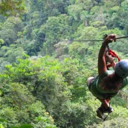 Manuel Antonio Canopy Tour - Manuel Antonio