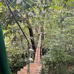Manuel Antonio Canopy Tour - Manuel Antonio