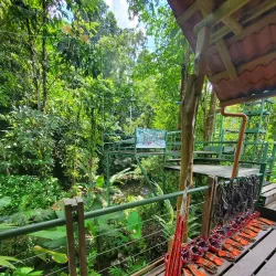 Manuel Antonio Canopy Tour - Manuel Antonio