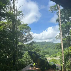 Manuel Antonio Canopy Tour - Manuel Antonio