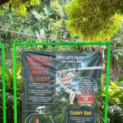 Manuel Antonio Canopy Tour - Manuel Antonio