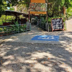 Manuel Antonio Canopy Tour - Manuel Antonio