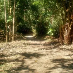 Playa Biesanz - Manuel Antonio