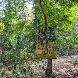 Playa Biesanz - Manuel Antonio
