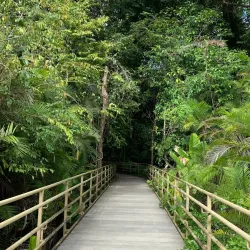 Playa Espadilla - Manuel Antonio