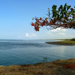 Quepos Marina - Manuel Antonio