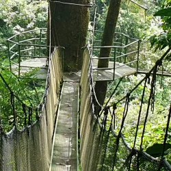 Rainmaker Conservation Project - Manuel Antonio