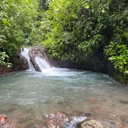 Rainmaker Conservation Project - Manuel Antonio