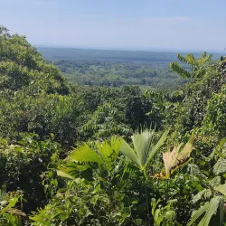 Rainmaker Conservation Project - Manuel Antonio