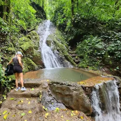 Rainmaker Conservation Project - Manuel Antonio