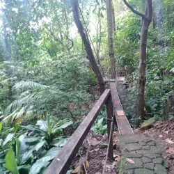 Rainmaker Conservation Project - Manuel Antonio