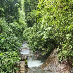 Rainmaker Conservation Project - Manuel Antonio