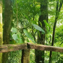 Rainmaker Conservation Project - Manuel Antonio