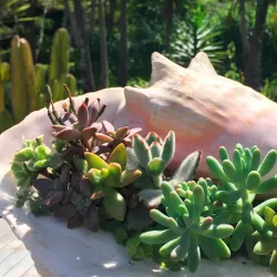 Jardín Botánico de Moravia - Moravia