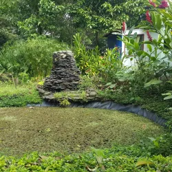 Jardín Botánico de Moravia - Moravia