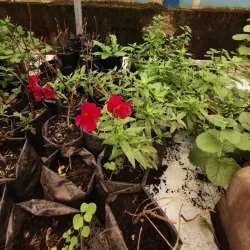 Jardín Botánico de Moravia - Moravia