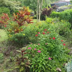 Jardín Botánico de Moravia - Moravia