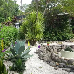 Jardín Botánico de Moravia - Moravia