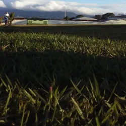 Plaza de Moravia - Moravia