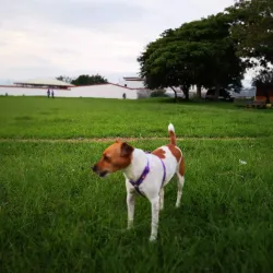 Plaza de Moravia - Moravia