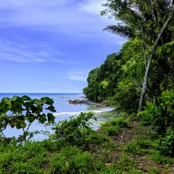 Cabo Blanco Absolute Natural Reserve - Nicoya