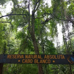 Cabo Blanco Absolute Natural Reserve - Nicoya