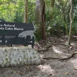 Cabo Blanco Absolute Natural Reserve - Nicoya