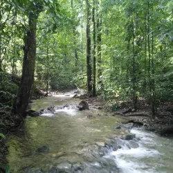 Cabo Blanco Absolute Natural Reserve - Nicoya