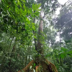 Monte Alto Protected Zone - Nicoya