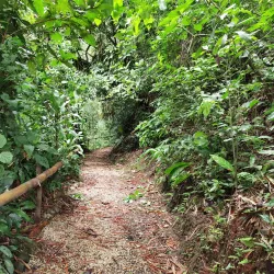 Monte Alto Protected Zone - Nicoya