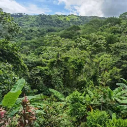 Monte Alto Protected Zone - Nicoya
