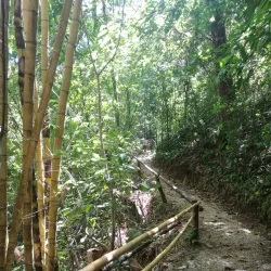 Monte Alto Protected Zone - Nicoya