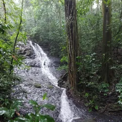 Monte Alto Protected Zone - Nicoya