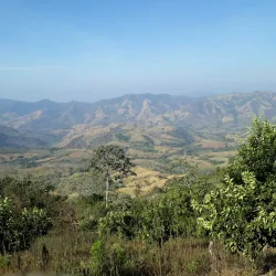 Monte Alto Protected Zone - Nicoya