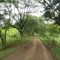 Nicoya Peninsula Beaches - Nicoya