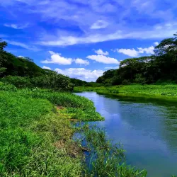 Tempisque River - Nicoya