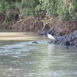 Tempisque River - Nicoya