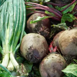 Nosara Farmers Market - Nosara