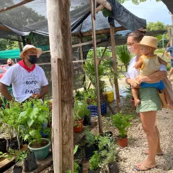 Nosara Farmers Market - Nosara