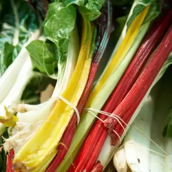 Nosara Farmers Market - Nosara