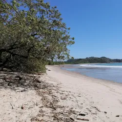 Nosara Wildlife Sanctuary - Nosara