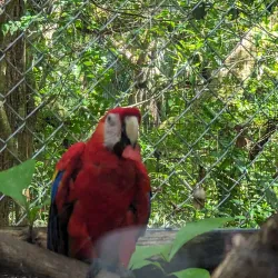 Nosara Wildlife Sanctuary - Nosara